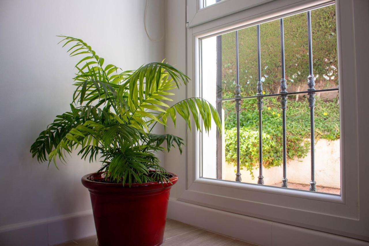קאלטה דה ולס Apto. Barbacana. Tranquilidad En Costa Del Sol מראה חיצוני תמונה